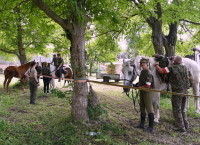  XVIII PODLASKA KONNA PIELGRZYMKA W HOŁDZIE KAWALERII RZECZYPOSPOLITEJ (FOTO: Dorota Andruszkiewicz) 